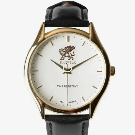 [BUNJANG] Paff Jupiter No. 77 Watch / [판매] 파프 주피터 시계