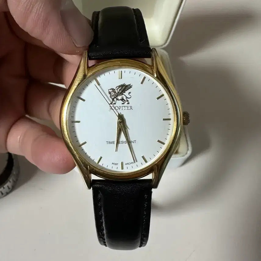 [BUNJANG] Paff Jupiter No. 77 Watch / [판매] 파프 주피터 시계