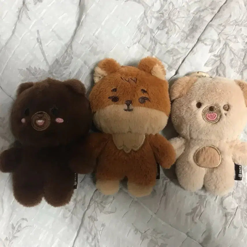 [BUNJANG] Day6 Tanning Merch / Day6 태닝멀즈