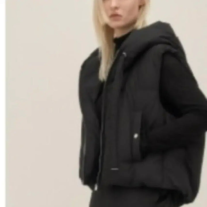 [BUNJANG] SYSTEM Goose Down Hood Vest / 시스템 구스다운 후드 베스트