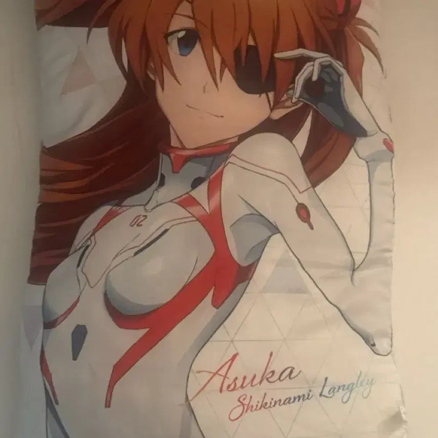 [BUNJANG] Evangelion Asuka Character Pillow Cushion / 에반게리온 아스카 캐릭터 베개 쿠션 미소녀 방꾸