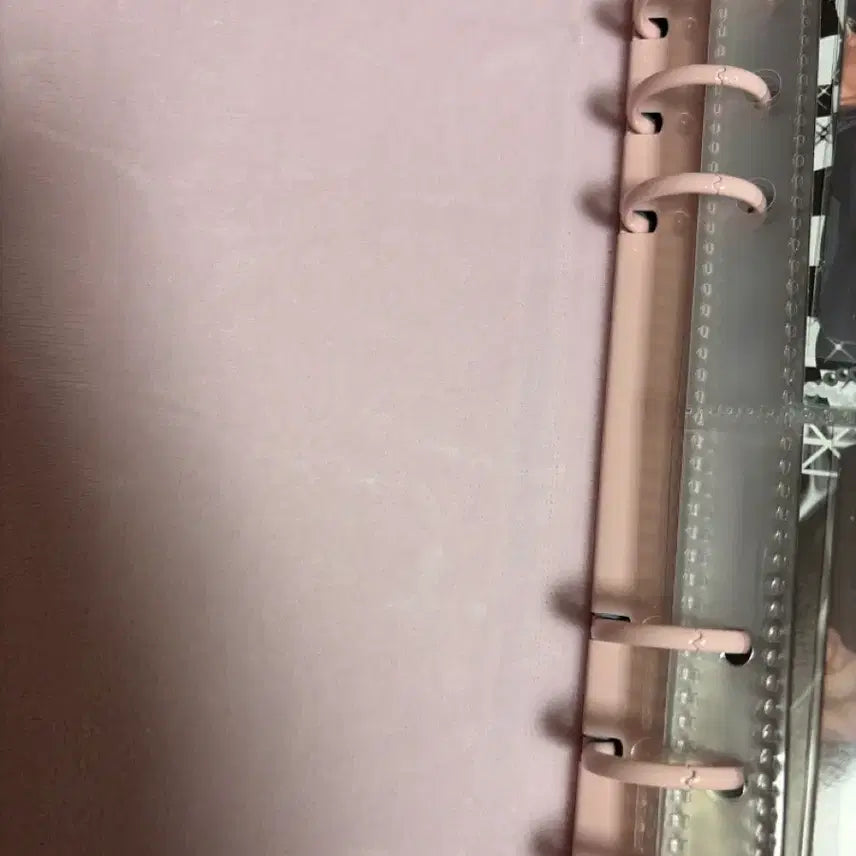 [BUNJANG] Rabbit Fur Binder / 토끼 털 바인더