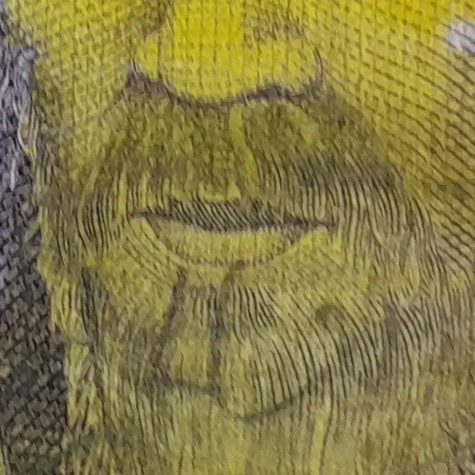 [BUNJANG] Error Bill / 천원 현행권  에러지폐(극희귀)