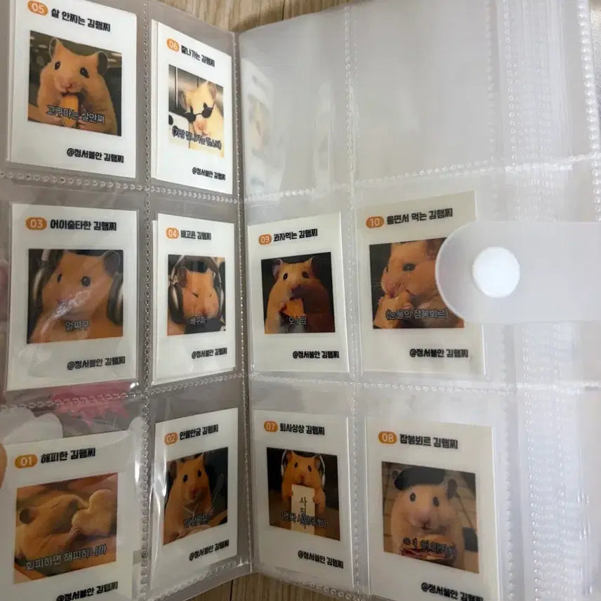 [BUNJANG] Kim Hamzzi & Kim Quokka Sticker Bundle / 한정판 김햄찌 띠부씰 전종, 김쿼카 띠부씰 전종 스티커는 덤