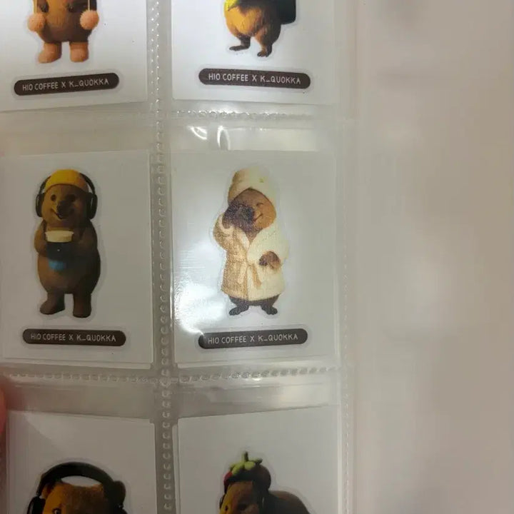 [BUNJANG] Kim Hamzzi & Kim Quokka Sticker Bundle / 한정판 김햄찌 띠부씰 전종, 김쿼카 띠부씰 전종 스티커는 덤