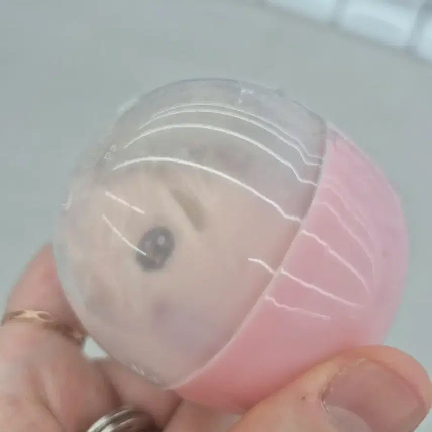 [BUNJANG] Haikyuu!! Morihiko Hayama Stuffed Doll / 하이큐 인형가챠 야쿠 모리스케 팔아요