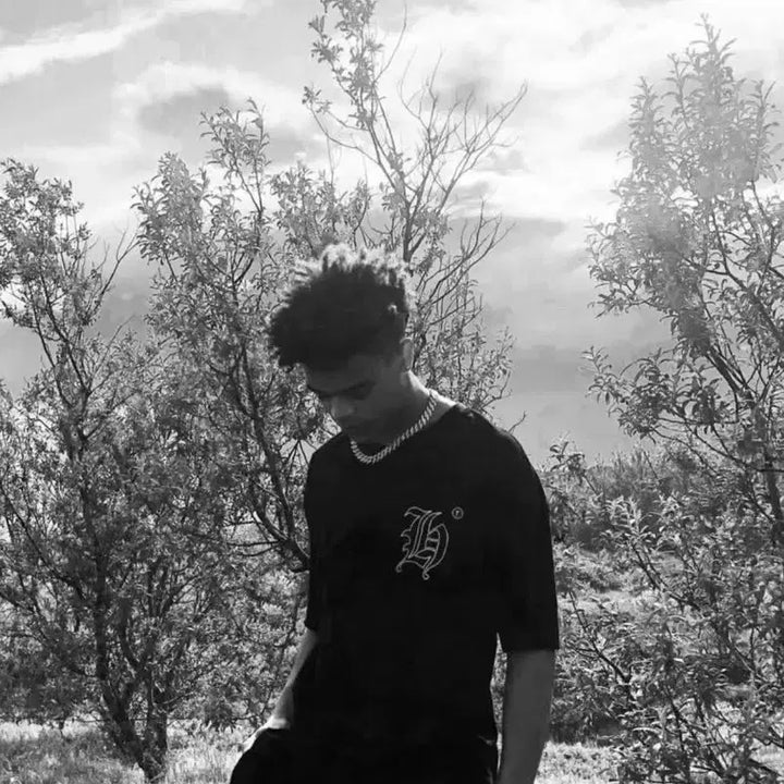 [BUNJANG] D/HILL LA Graphic Logo T-Shirt OS / D/HILL LA 그래픽 로고 티셔츠 OS