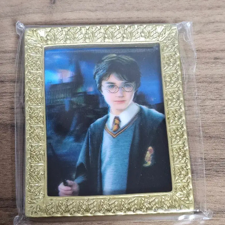 [BUNJANG] Harry Potter Harry Picture Frame Magnet / 해리포터 굿즈 해리 액자(자석) 판매합니다.