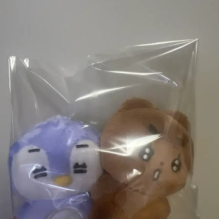 [BUNJANG] NMIXX Lily Bundle Set / 뽀송밤 말랑닝 일괄 양도 뽀바투