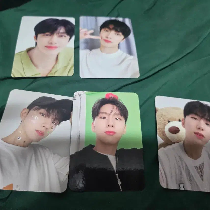 [BUNJANG] Monsta X Shownu Seonkkomi Plush Doll / 몬스타엑스 몬엑 셔누인형 션꼬미 곰햄즈