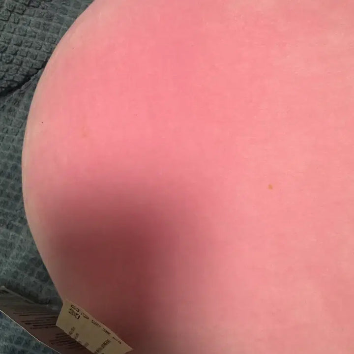 [BUNJANG] BT21 Cooky Plush Doll / BT21 COOKY 쿠키 봉제인형