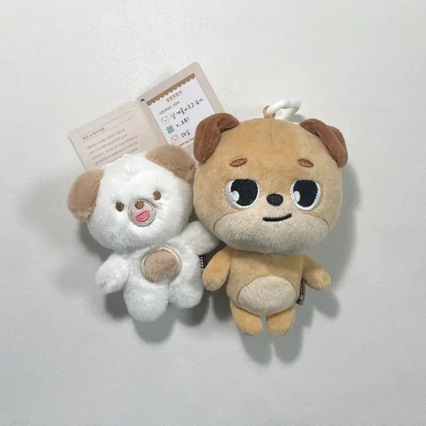 [BUNJANG] DAY6 Denimals Bundle Set / 데이식스 19 데니멀즈 구버전 + 쁘띠멀즈 돈 일괄