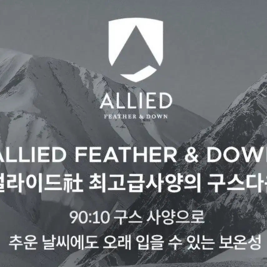 [BUNJANG] Basquiat Golf Women's Goose Down Padded Jacket / (새상품) 장미쉘 바스키아 골프 정품 여성 구스다운 패딩 자켓