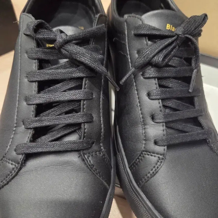 [BUNJANG] P-31 Sneakers Black Edition / p-31 키높이 스니커즈 250mm 블랙에디션 팔아요