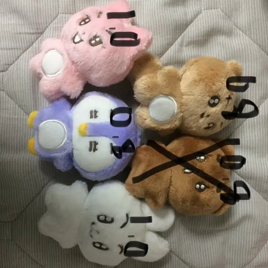 [BUNJANG] BOYNEXTDOOR Photocard / 뽀바투 판매합니당~