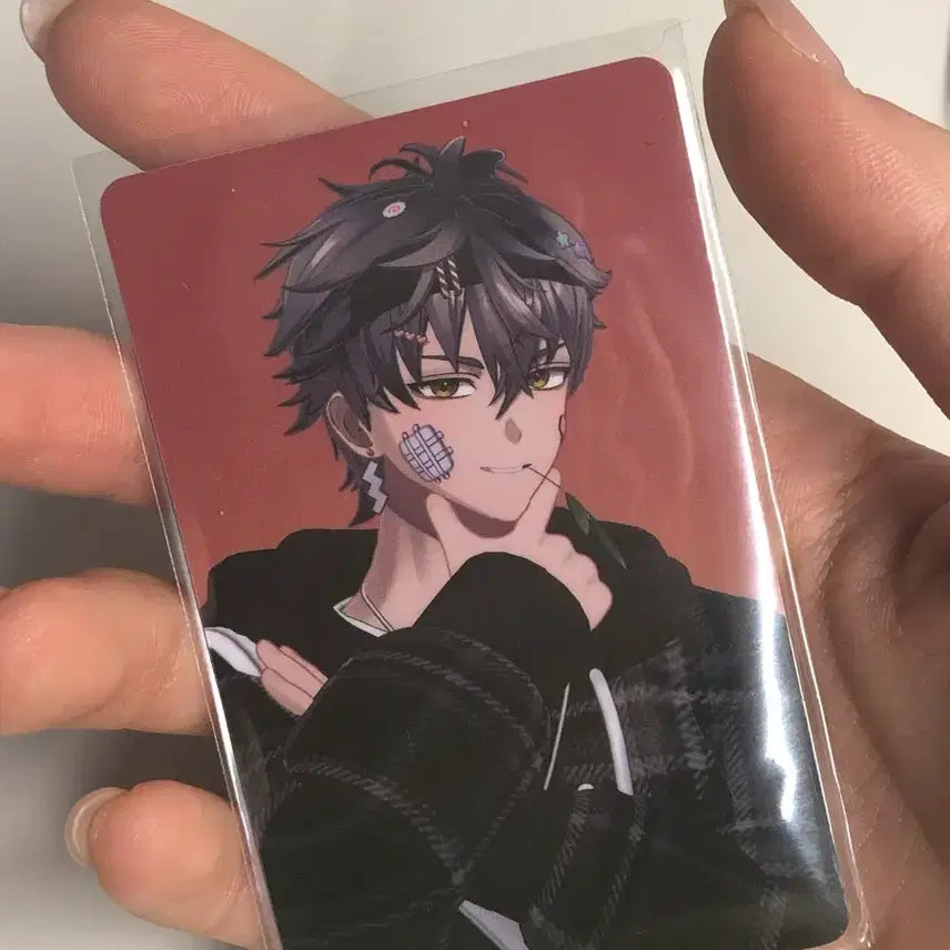 [BUNJANG] Coyo Tempest Coyo Shinsegae Lucky Draw Photocard / 원가 이하 ) 스코시즘 코요템페스트 코요 신세계 팝업 럭드 포카