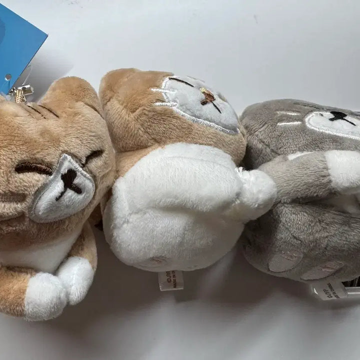 [BUNJANG] Soondoongdori Doll Unsealed / 포카포함 순둥도리 인형 개봉 양도