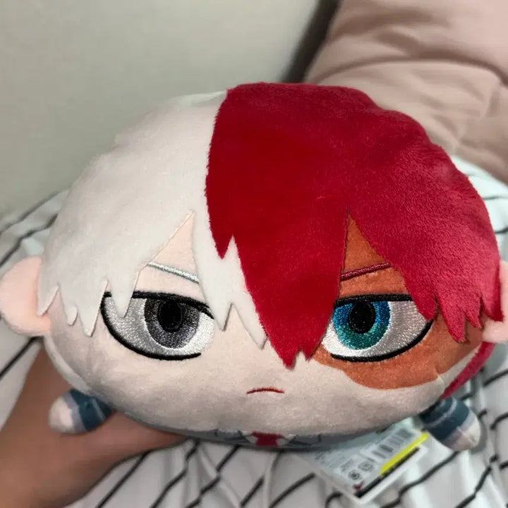 [BUNJANG] Todoroki Plush Doll / 토도로키 누이 인형