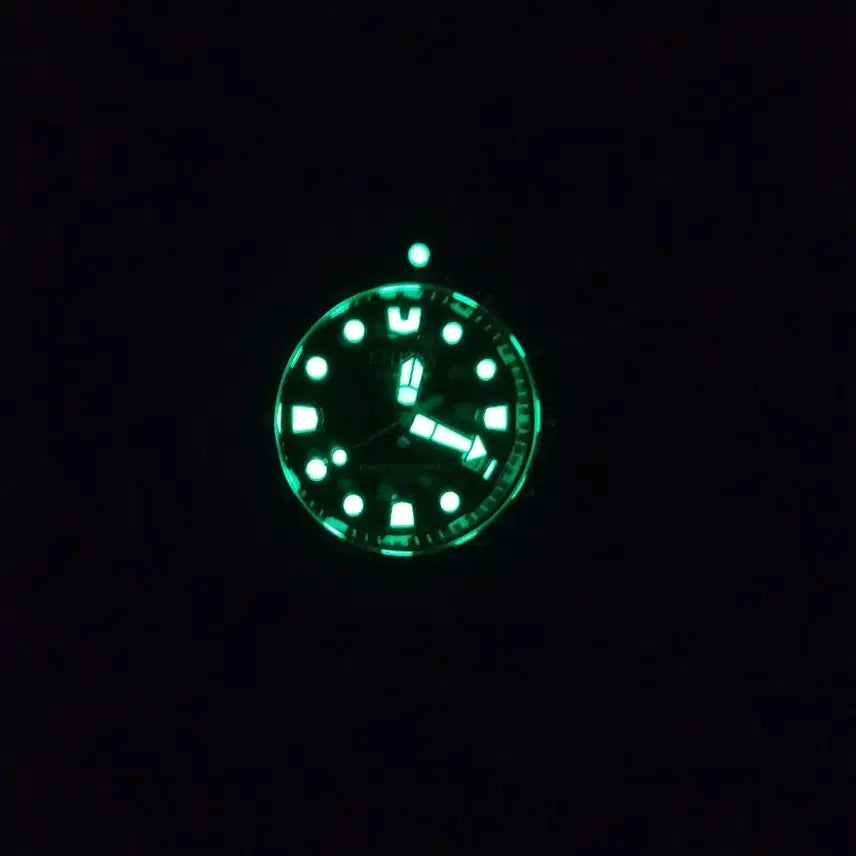 [BUNJANG] Citizen Promaster Diver Watch / BN1024-01Z 시티즌 대왕복어 다이버 시계