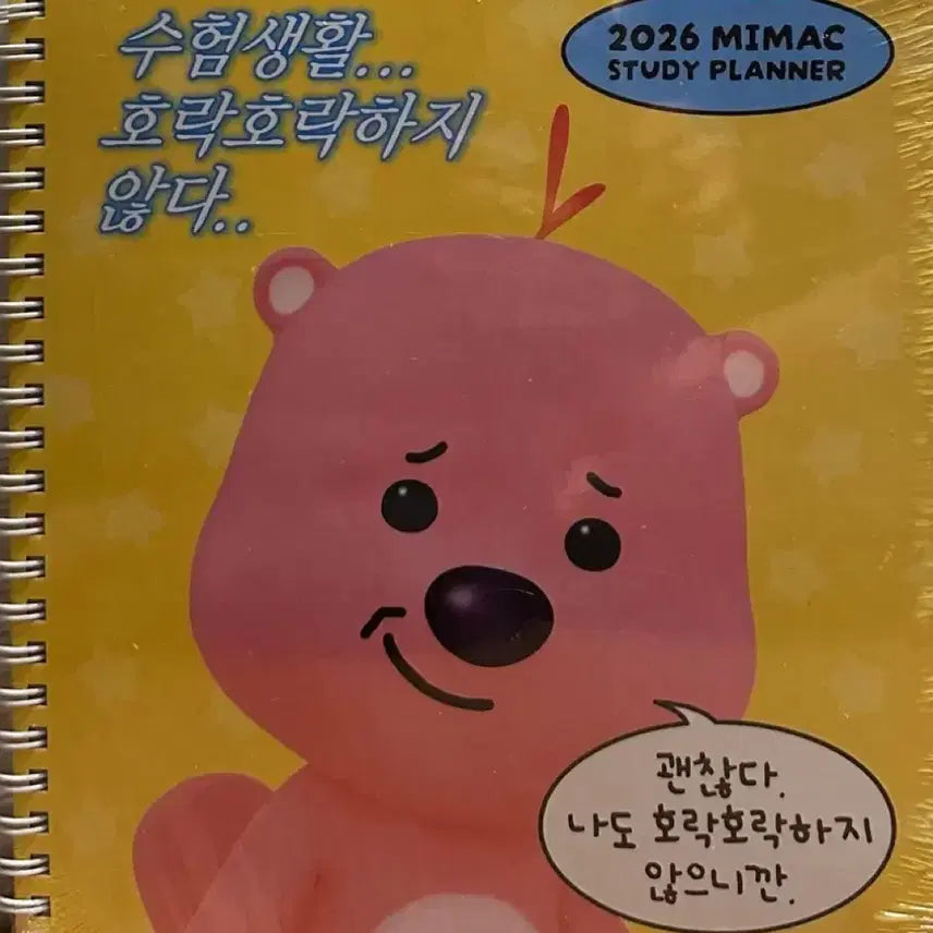 [BUNJANG] Daesung Study Planner / 루피 대성 스터디플래너