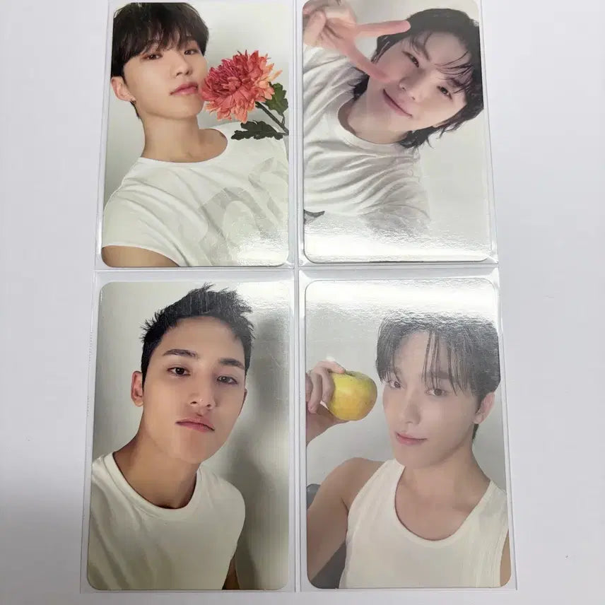 [BUNJANG] Seventeen Bundle Set Photocard / 세븐틴 베스트앨범 디어버전 포카 일괄