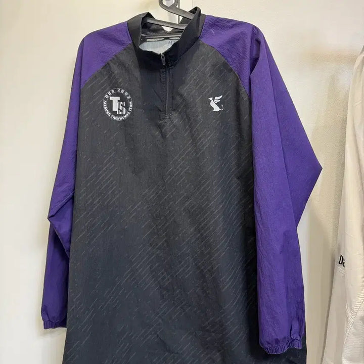 [BUNJANG] Taesung High School Color-Blocked Zip-Up Training Top / 태성고 반집업
