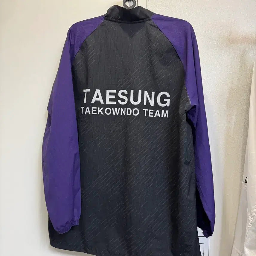 [BUNJANG] Taesung High School Color-Blocked Zip-Up Training Top / 태성고 반집업