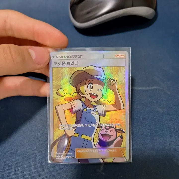 [BUNJANG] Pokemon Brother SR Card / 포켓몬카드 포켓몬 브라더 sr 단종