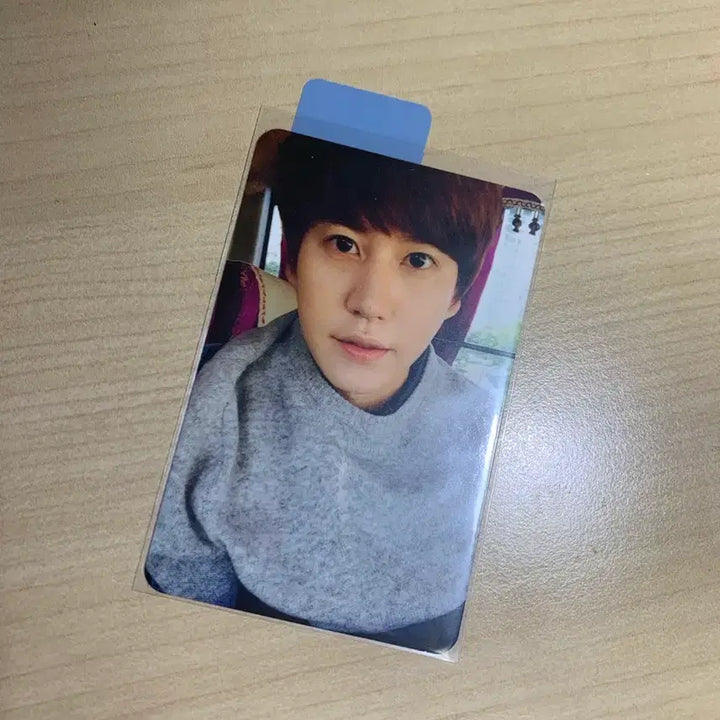 [BUNJANG] Super Junior Kyuhyun Photocard / 슈주 슈퍼주니어 규현 포카 양도