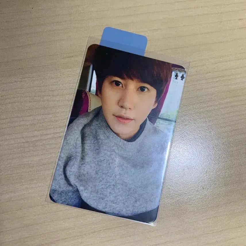 [BUNJANG] Super Junior Kyuhyun Photocard / 슈주 슈퍼주니어 규현 포카 양도