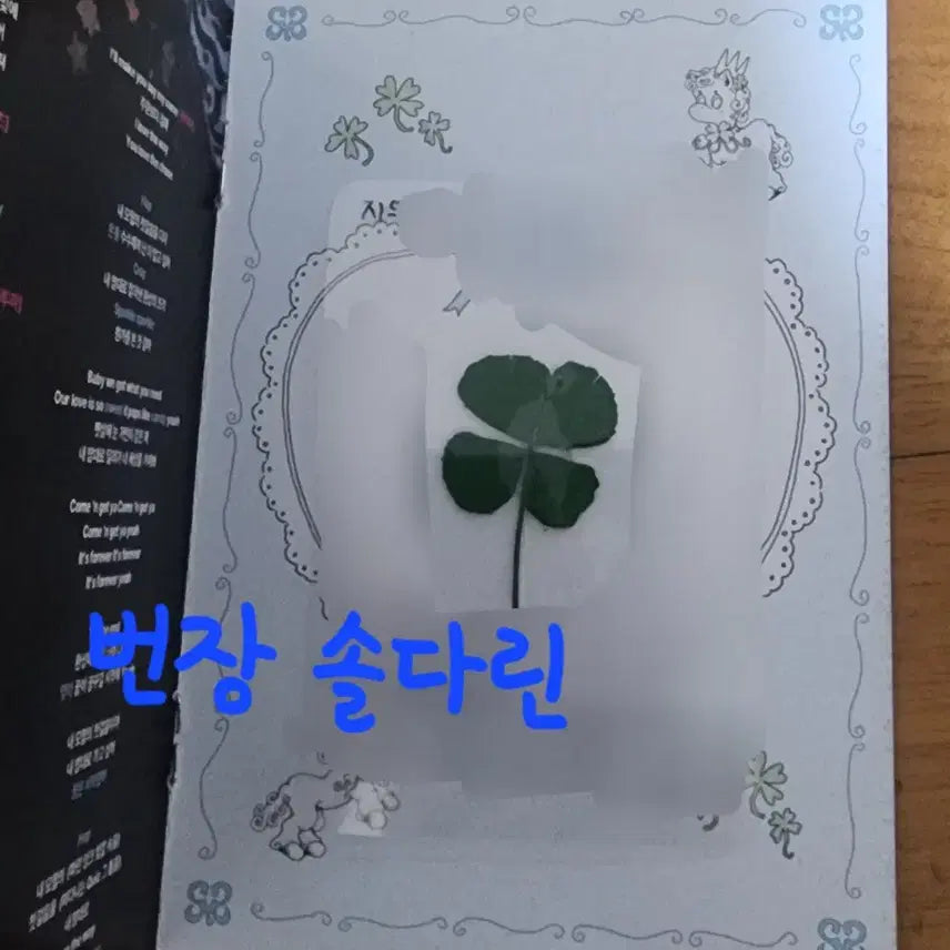 [BUNJANG] Heartz to Heart The Chase Hachu Kit Lucky Card / [판매] 하츠투하츠 더체이스 하츄키트(+지우 럭키카드)