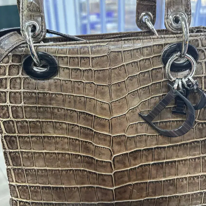 [BUNJANG] Lady Dior Wani Bag / 레이디 디올 와니백 판매 합니다.