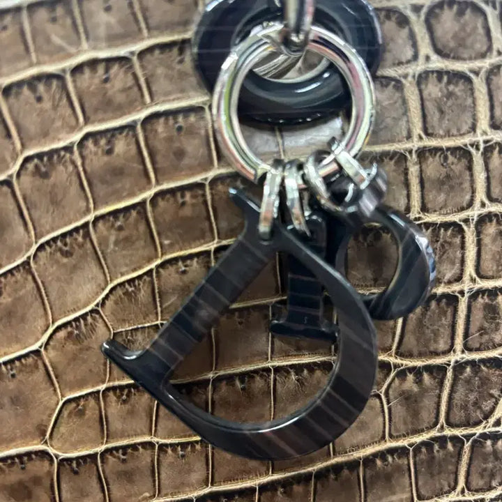 [BUNJANG] Lady Dior Wani Bag / 레이디 디올 와니백 판매 합니다.