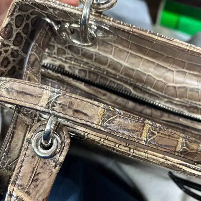 [BUNJANG] Lady Dior Wani Bag / 레이디 디올 와니백 판매 합니다.