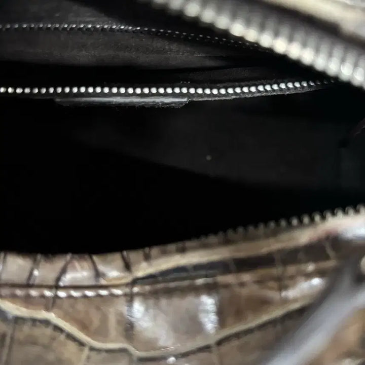 [BUNJANG] Lady Dior Wani Bag / 레이디 디올 와니백 판매 합니다.