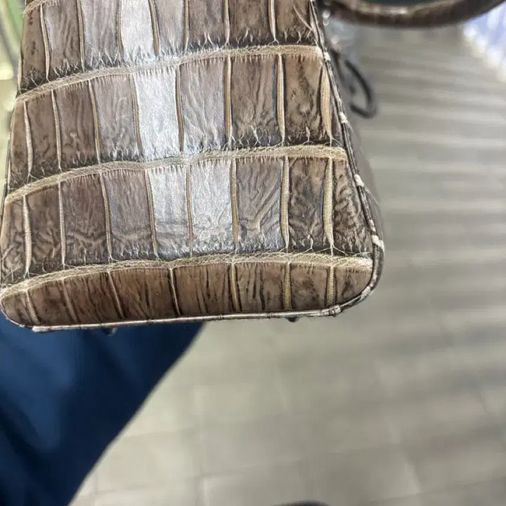 [BUNJANG] Lady Dior Wani Bag / 레이디 디올 와니백 판매 합니다.