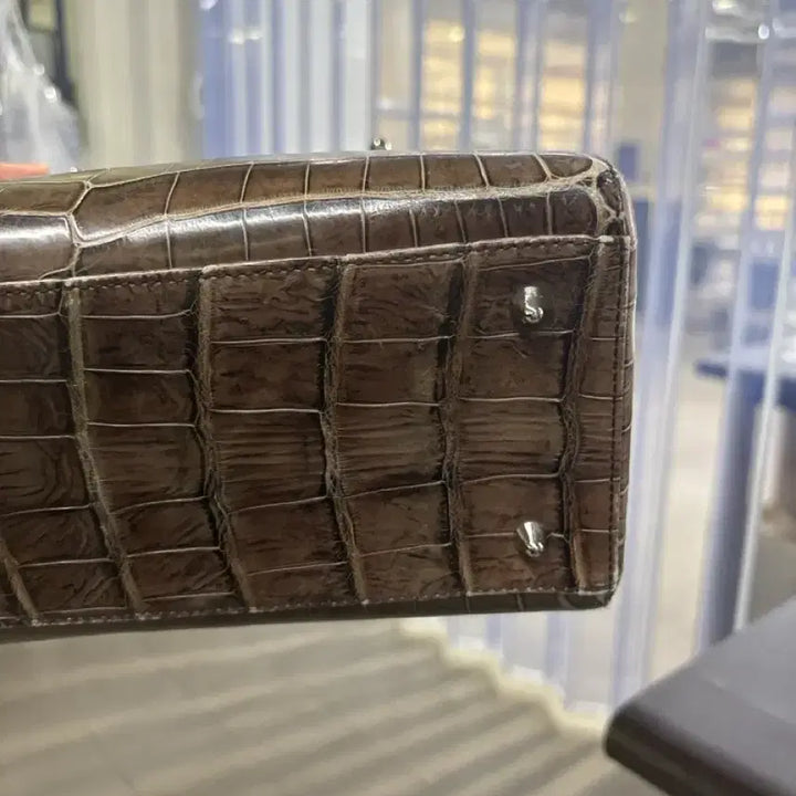 [BUNJANG] Lady Dior Wani Bag / 레이디 디올 와니백 판매 합니다.