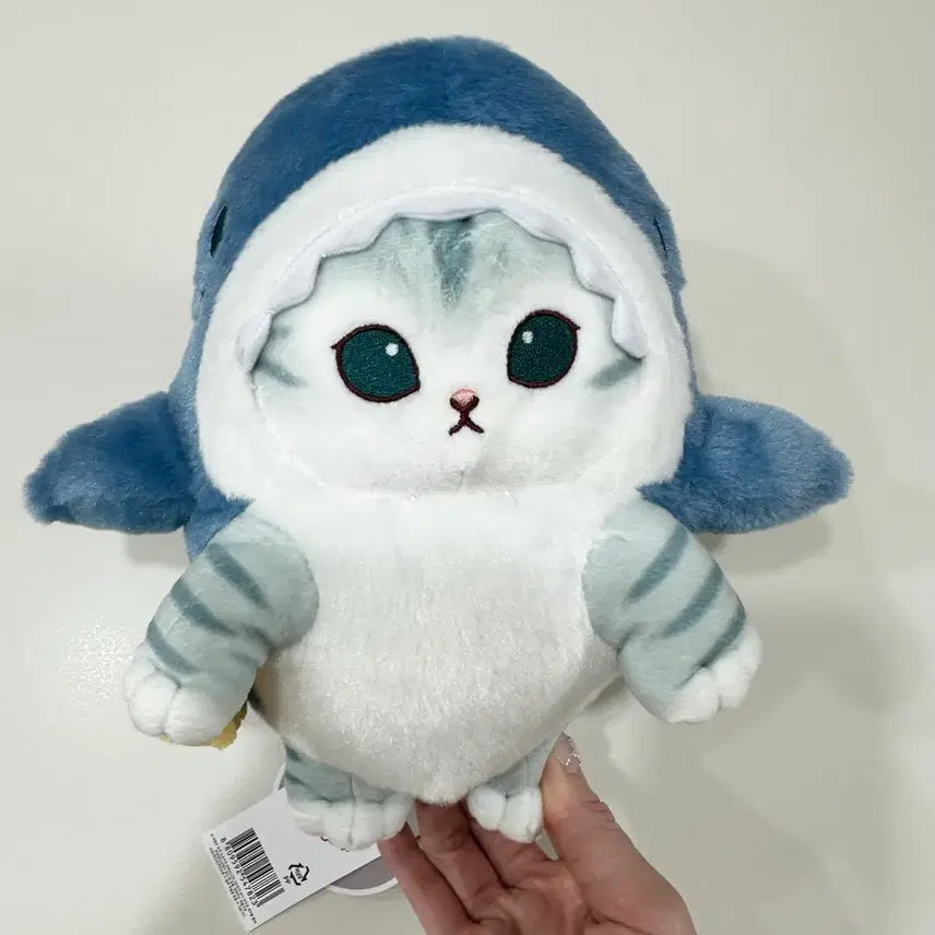 [BUNJANG] Mohu Sand Cat Plush Toy Bundle Set / 일괄) 새상품 모후샌드 고양이인형