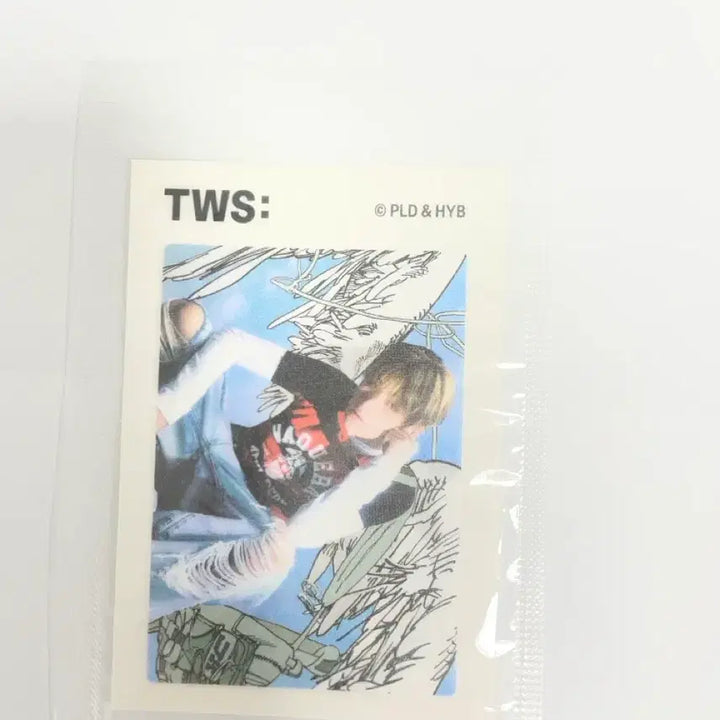 [BUNJANG] TWS TWS Sticker / TWS 투어스 띠부띠부씰