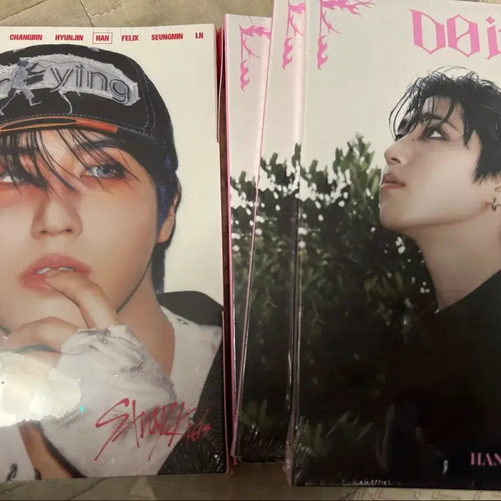 [BUNJANG] Stray Kids Karma & DO IT Accordion Album Bundle Set / 2장 일괄 스키즈 한 미개봉 아코디언 앨범 카르마 두잇 예판