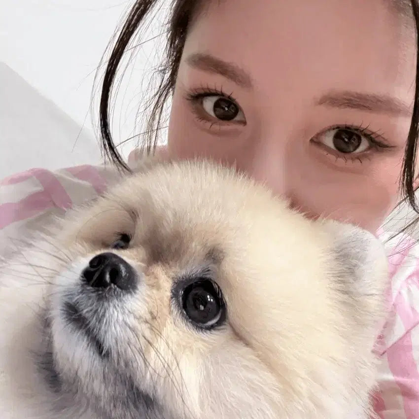 [BUNJANG] Payment Confirmation / 얌얍얍얌님 결제창