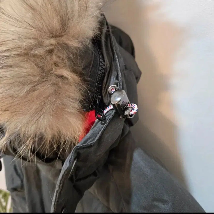 [BUNJANG] Pyrenex Women's Padded Jacket / 피레넥스 패딩