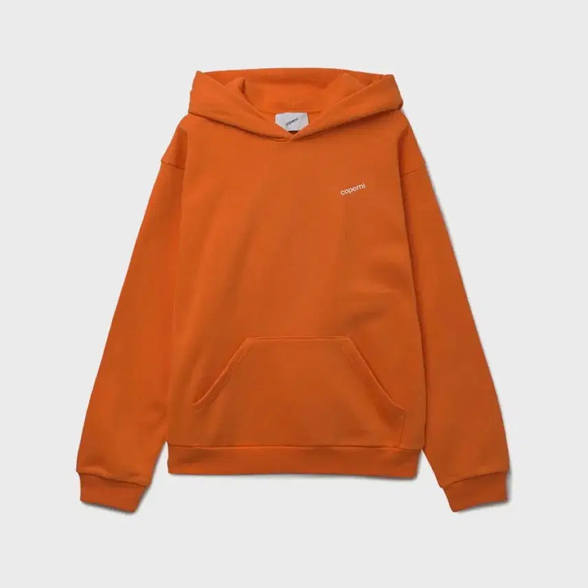 [BUNJANG] Coperni Logo Hoodie S / 코페르니 로고 후드 S