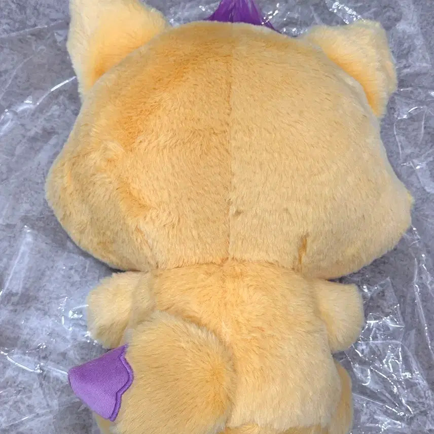 [BUNJANG] NCT WISH Sion 30cm Wishdoll / 30cm 대왕 위시돌 시오닝 시온 / 엔시티위시 베이커리 팝업