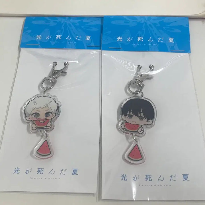 [BUNJANG] Hikaru Summer SD Watermelon Keyring Sealed / 히카루가 죽은 여름 SD수박 키링 세트 미개봉