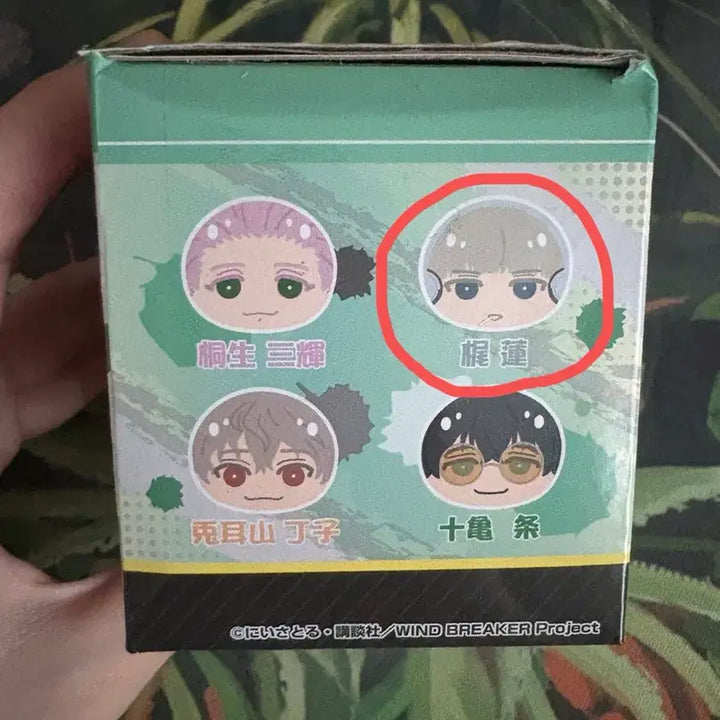 [BUNJANG] Weverse Magazine Kazutora Manjuu / 윈브레 카지 만쥬