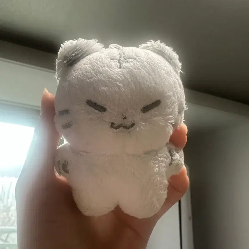 [BUNJANG] SEVENTEEN Hoshi Hoji 10cm Doll / 세븐틴 호시 인형 호찌 10cm