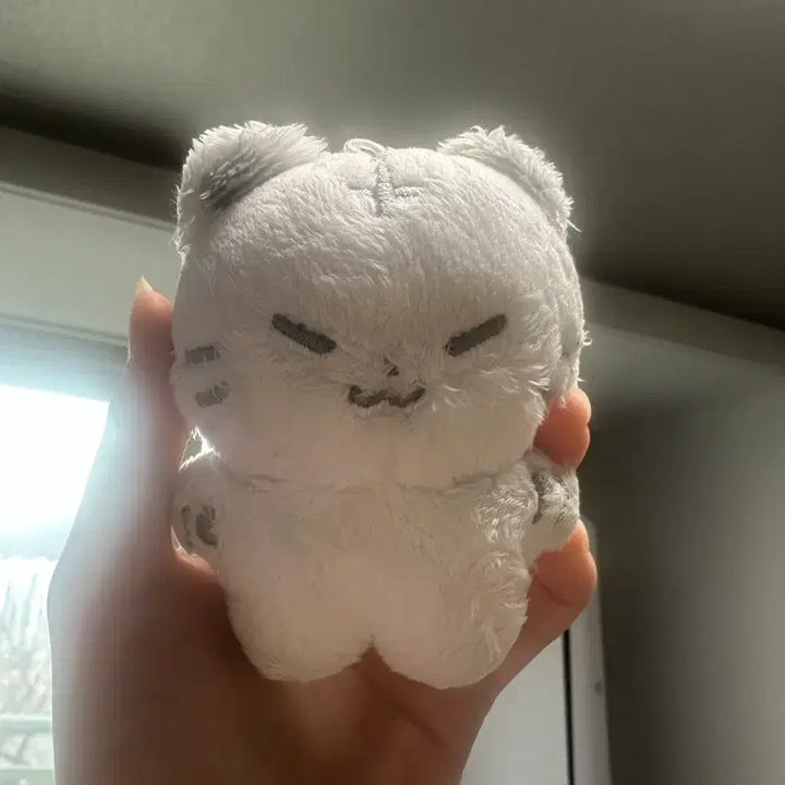 [BUNJANG] SEVENTEEN Hoshi Hoji 10cm Doll / 세븐틴 호시 인형 호찌 10cm