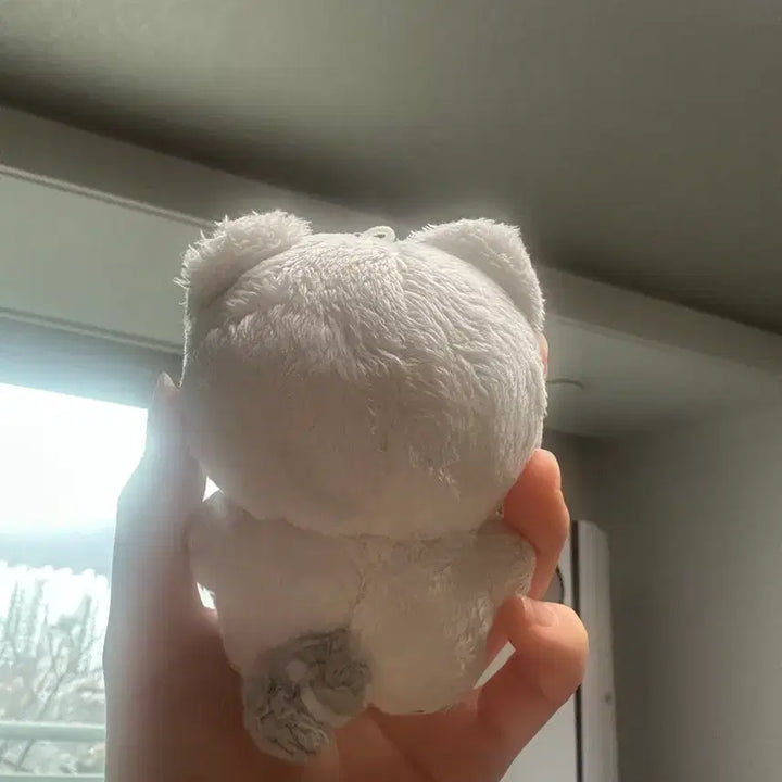 [BUNJANG] SEVENTEEN Hoshi Hoji 10cm Doll / 세븐틴 호시 인형 호찌 10cm