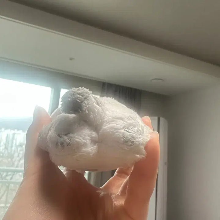 [BUNJANG] SEVENTEEN Hoshi Hoji 10cm Doll / 세븐틴 호시 인형 호찌 10cm